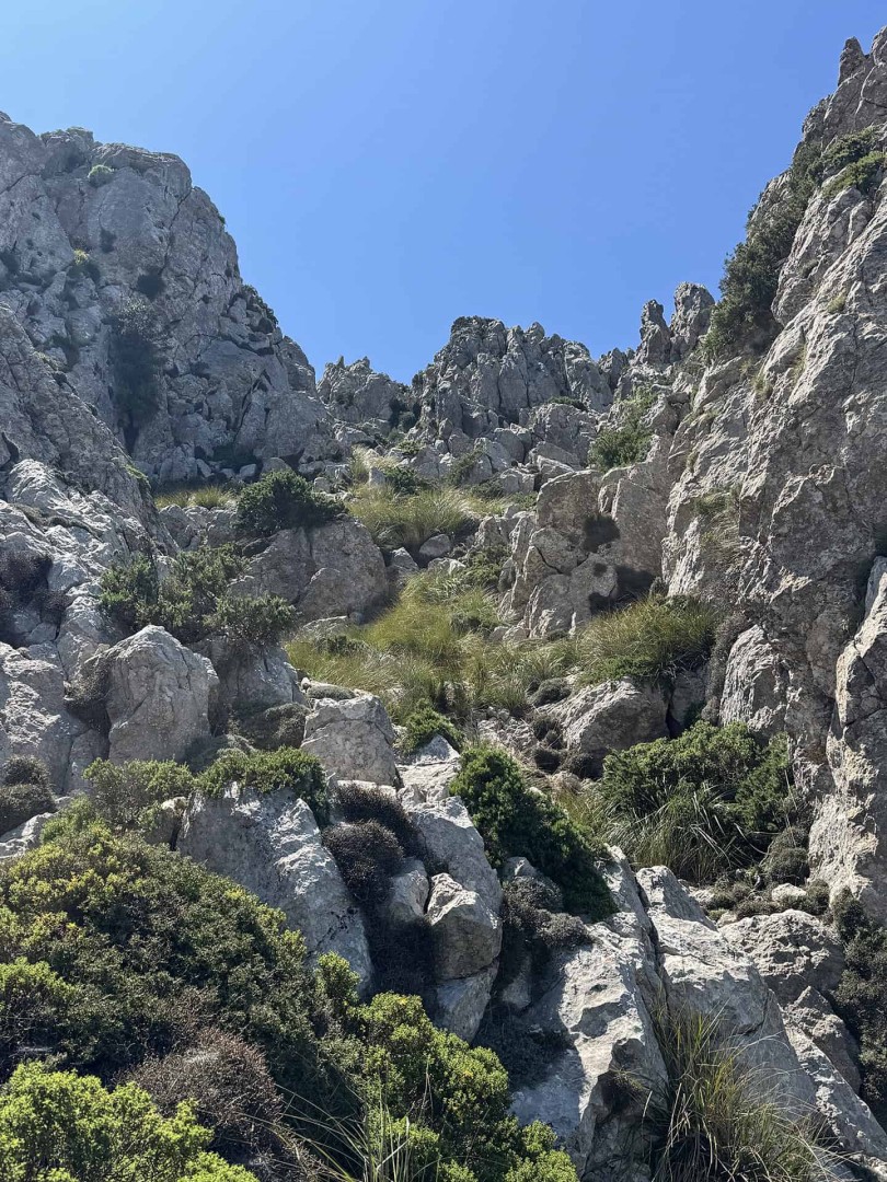 Comte Hike Station — main photo