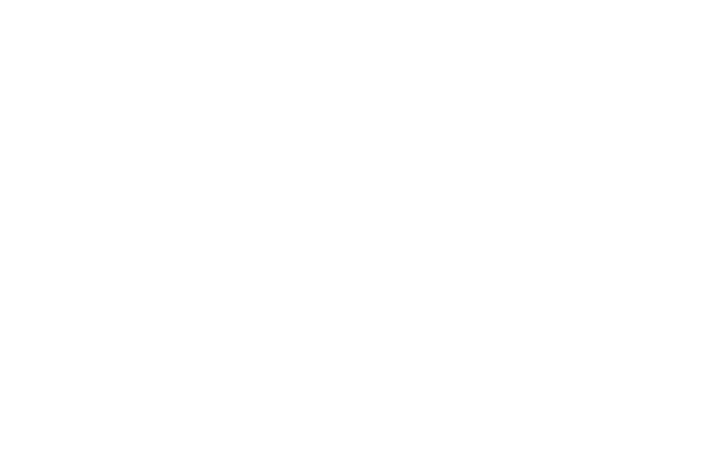 Four Seasons